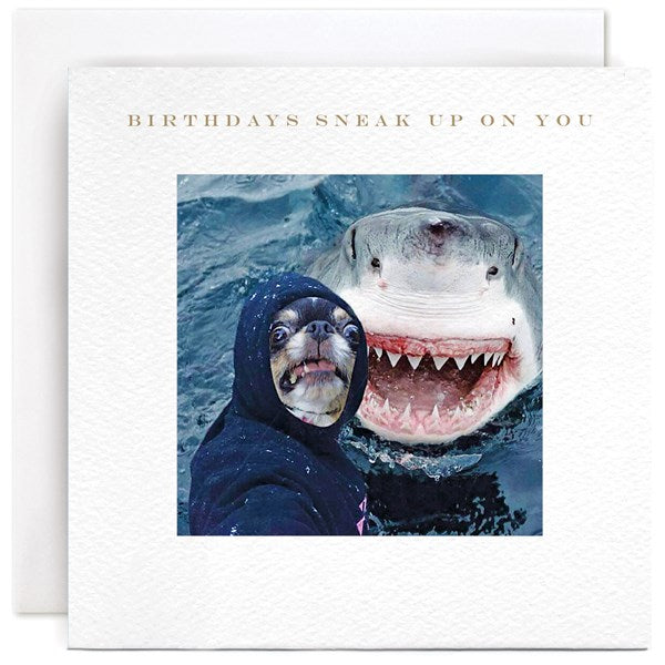 Susan O'Hanlon Birthdays Sneak card