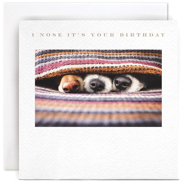 Susan O'Hanlon I Nose It's Your Birthday card