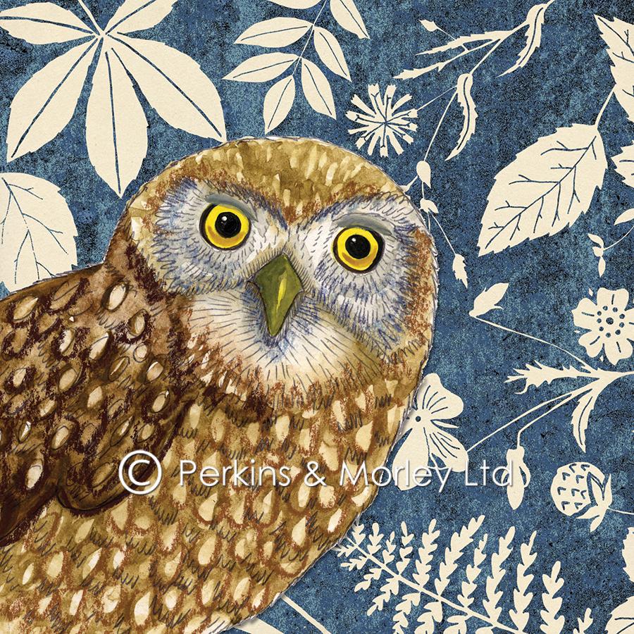 Perkins & Morley Owl Card