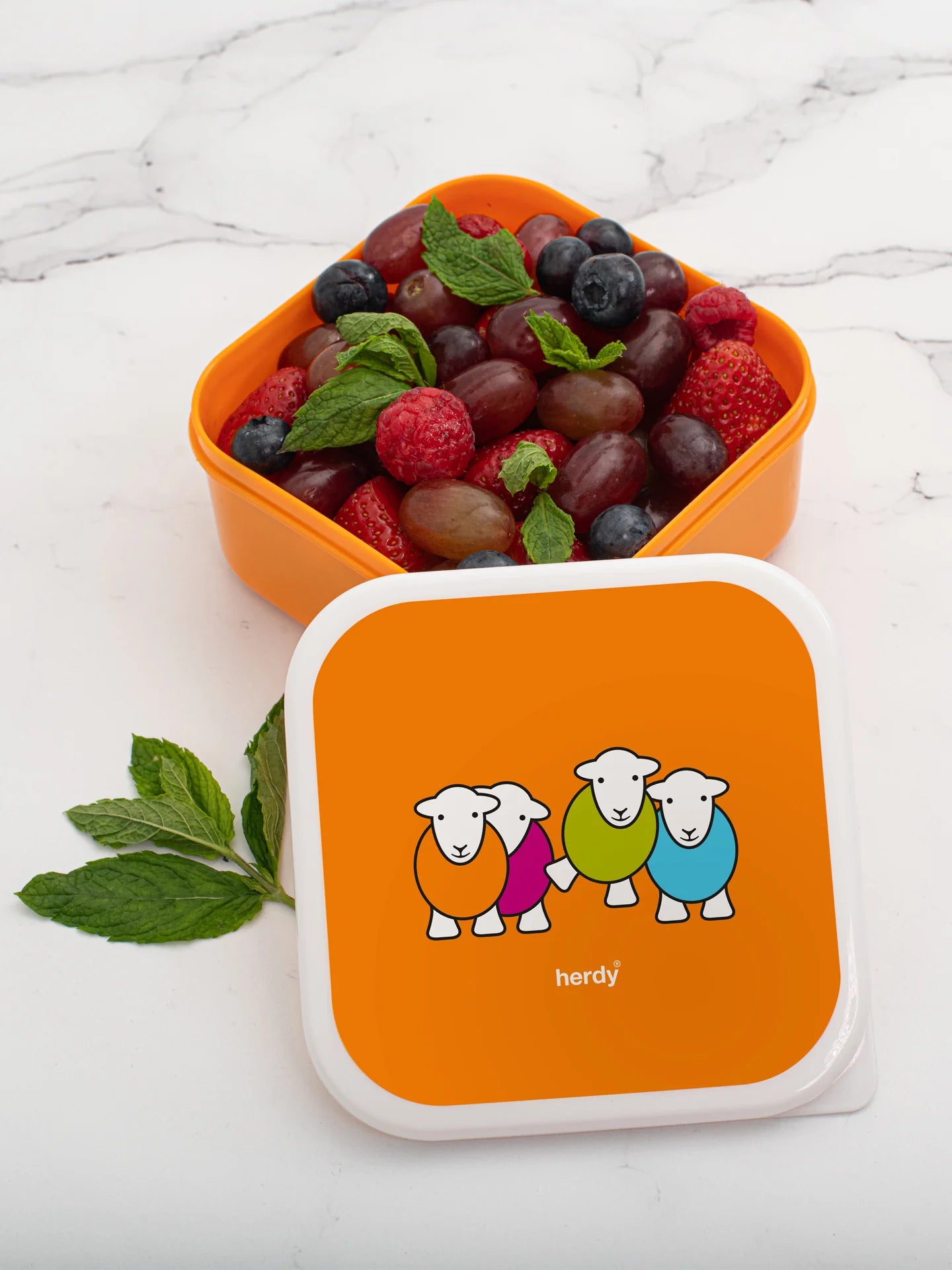 Herdy & Sheppy Snack Box Set