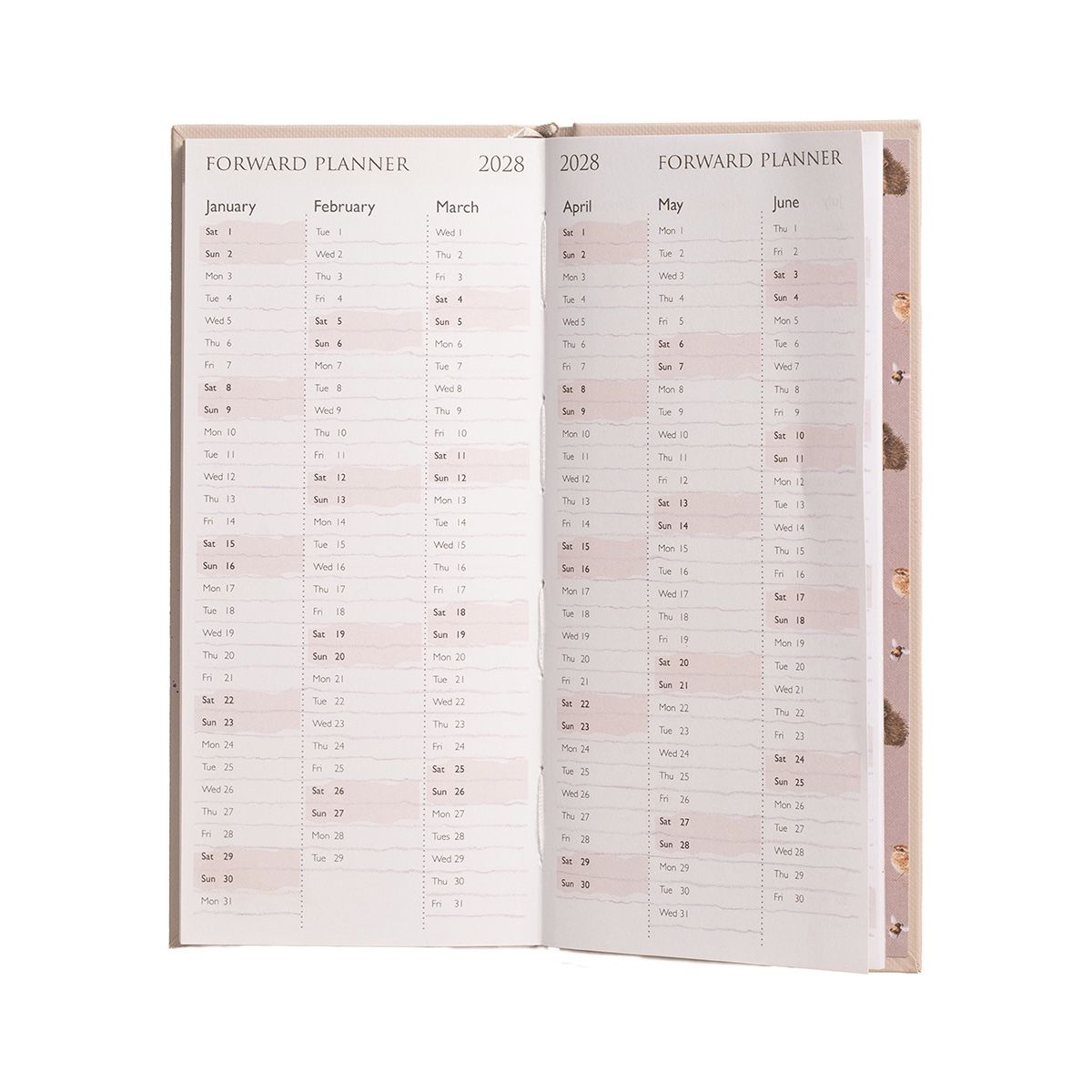 Slim Diary 2027