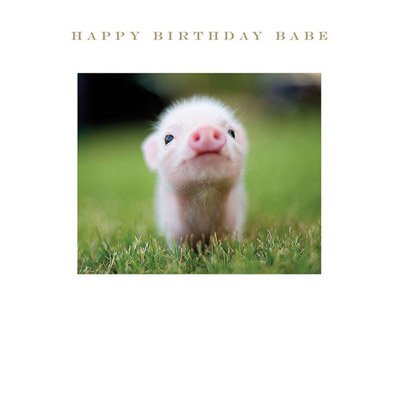 Happy Birthday Babe Greetings Card