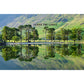 Love the Lakes A2 Buttermere Pines Canvas Print