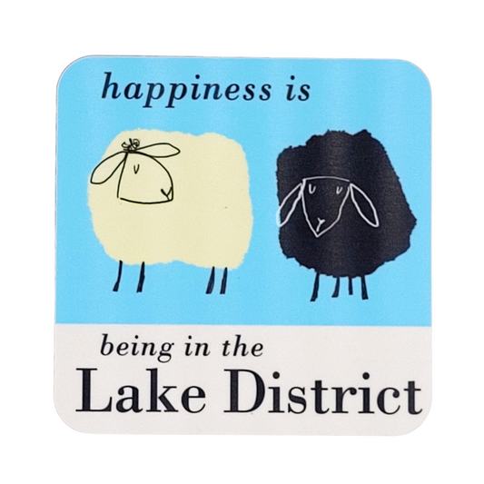 Being In The Lake District Coaster Turquoise