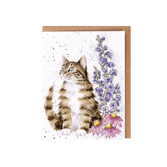 Wrendale Whiskers and Wildflowers - Seed Card